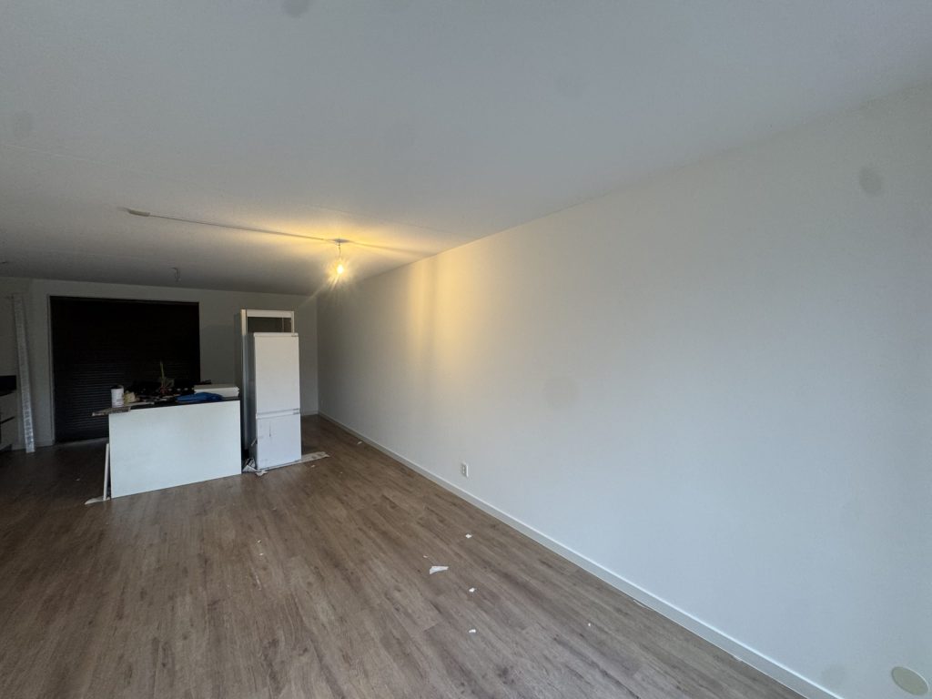 Woonkamer met open keuken en een lange, strak gesausde wand